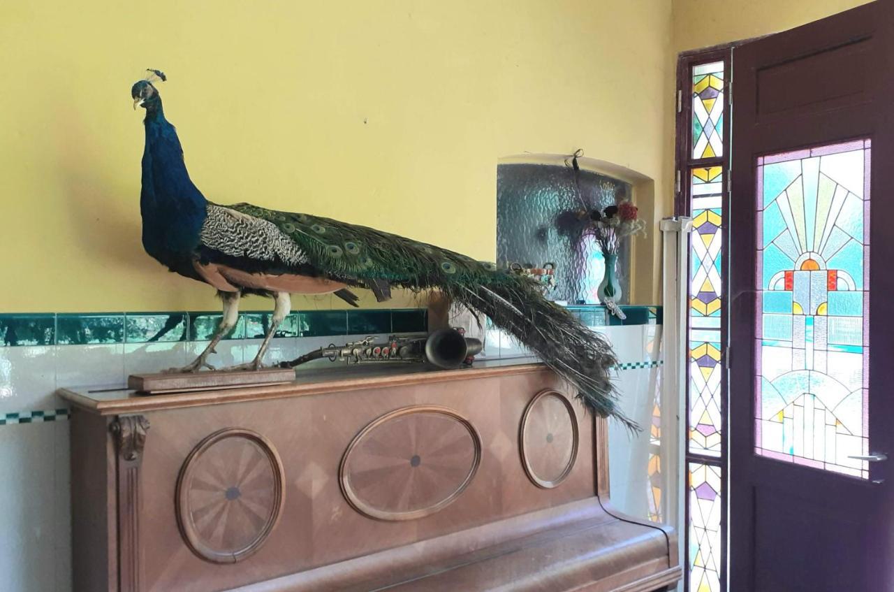 Villa Ritte Dendermonde Esterno foto