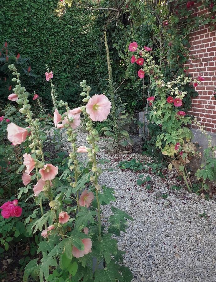 Villa Ritte Dendermonde Esterno foto